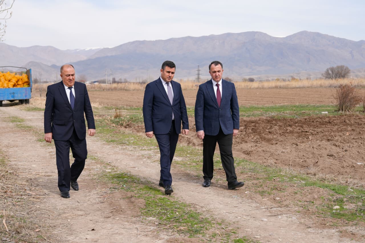 Səlahiyyətli nümayəndə Ceyhun Cəlilov Şərurda torpaq mülkiyyətçiləri ilə görüşüb, kartof əkini ilə tanış olub