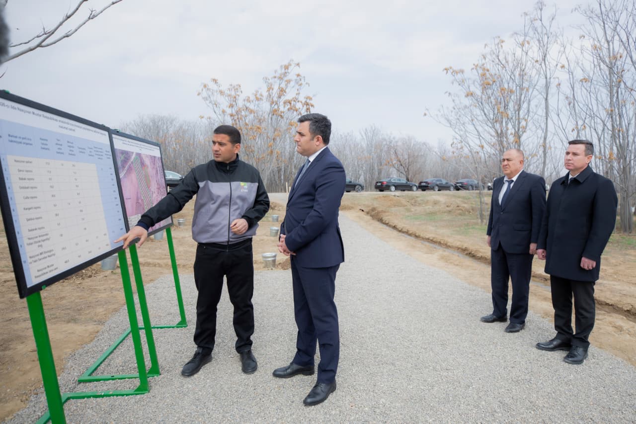 Naxçıvanda “Şəhərsalma və Memarlıq İli” çərçivəsində ağacəkmə aksiyası keçirilib